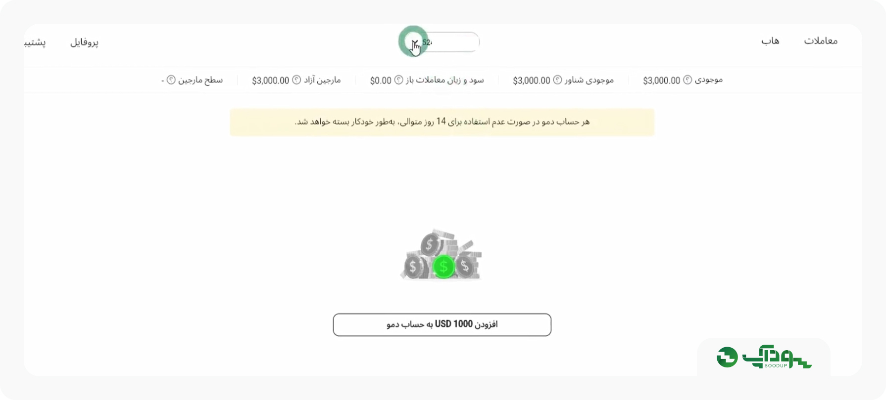 انتخاب حساب دمو در بخش وجوه در کابین الپاری