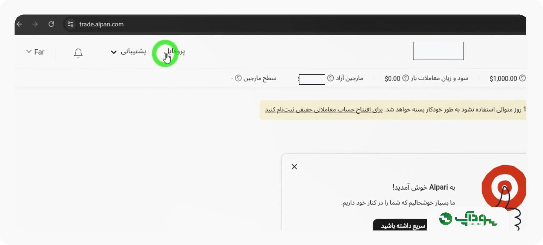 گزینه پروفایل در کابین شخصی آلپاری