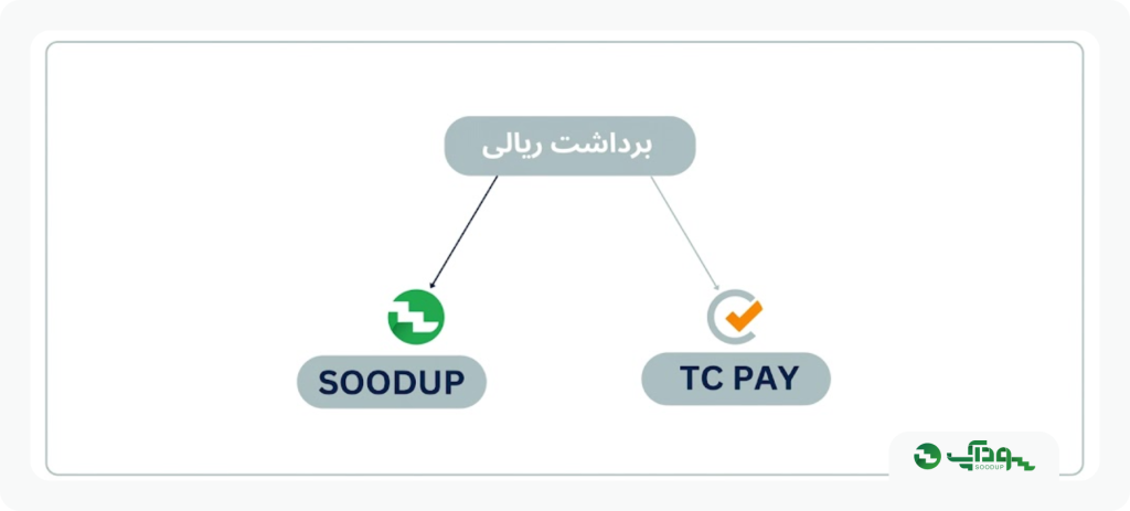 برداشت ریالی