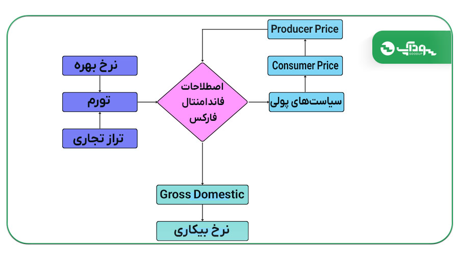 اصطلاحات فاندامنتال فارکس