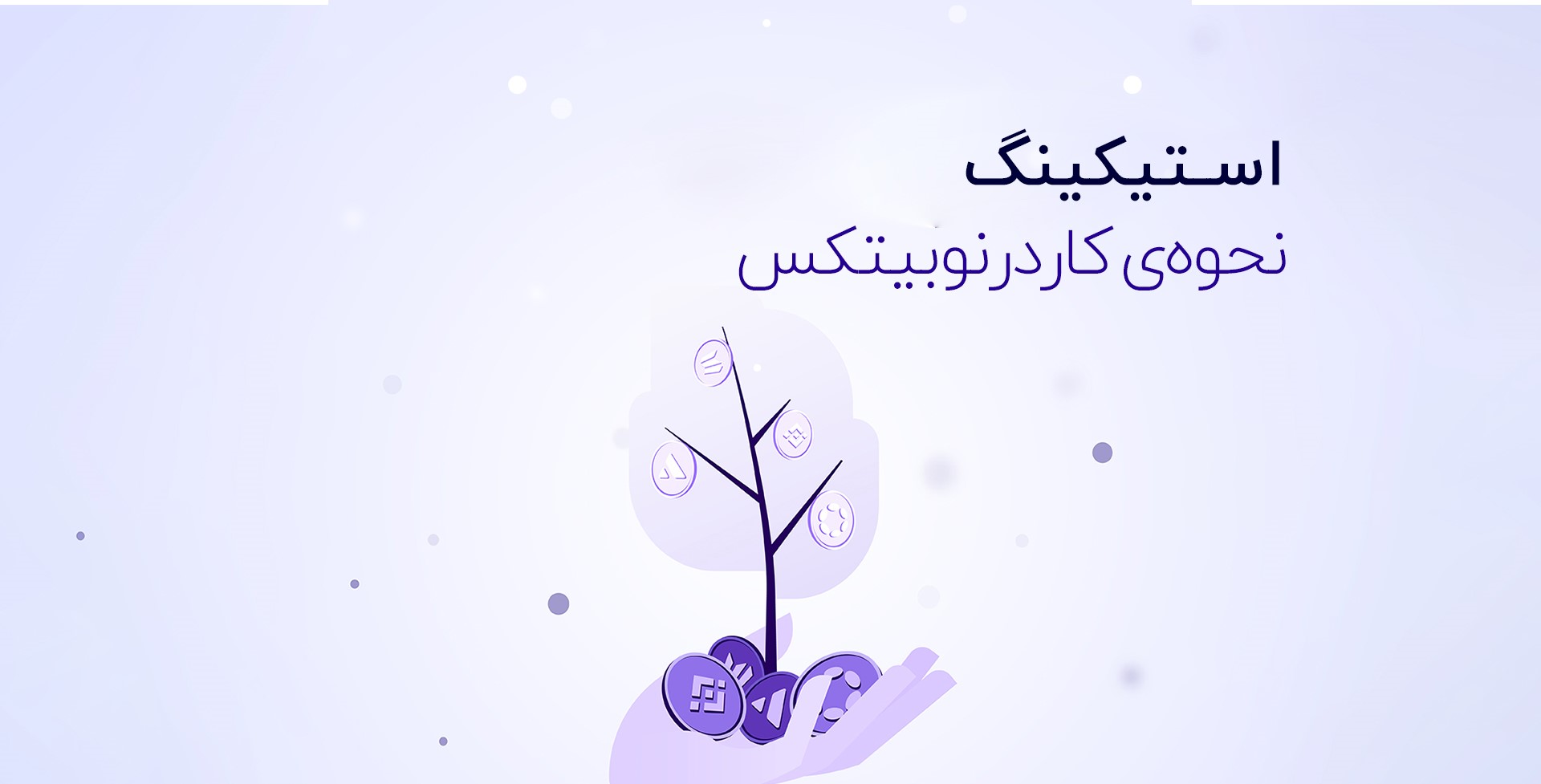 استیکینگ در نوبیتکس سودآپ
