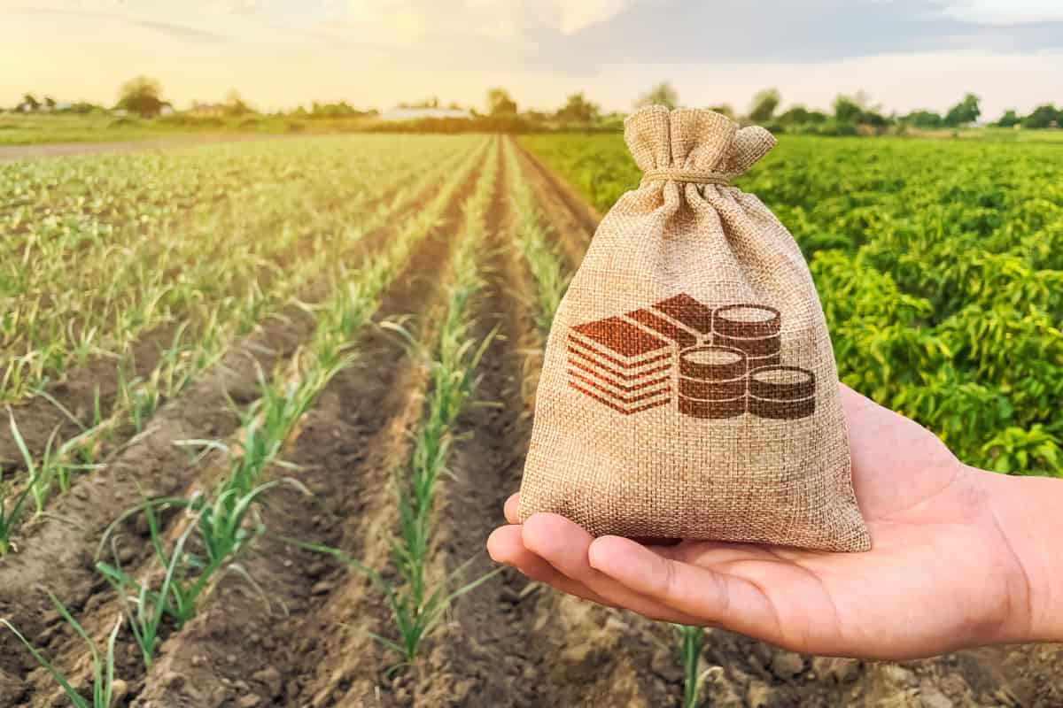 ریسک های ییلدفارمینگ