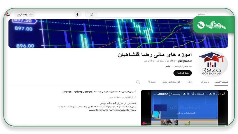 رضا گلشاهیان استاد آموزش فارکس در یوتیوب