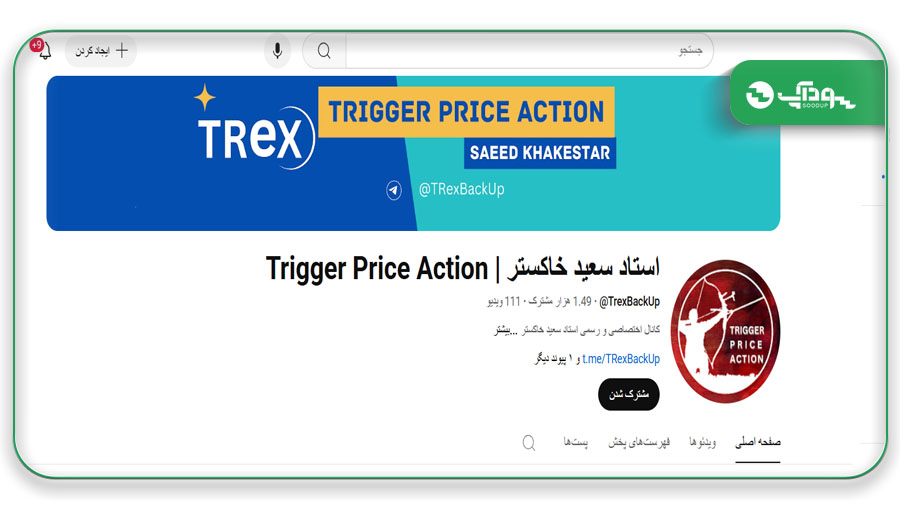 سعید خاکستر استاد آموزش فارکس در یوتیوب